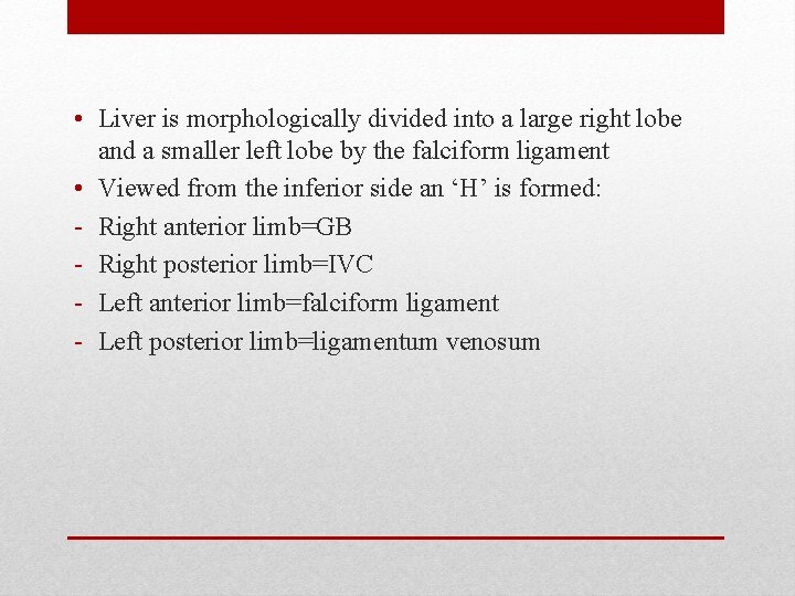 • Liver is morphologically divided into a large right lobe and a smaller