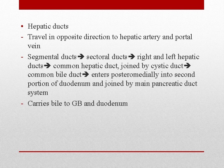  • Hepatic ducts - Travel in opposite direction to hepatic artery and portal
