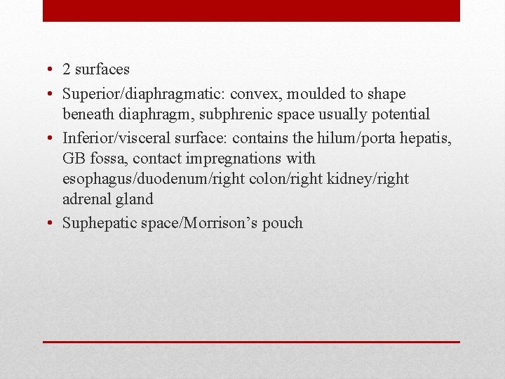  • 2 surfaces • Superior/diaphragmatic: convex, moulded to shape beneath diaphragm, subphrenic space