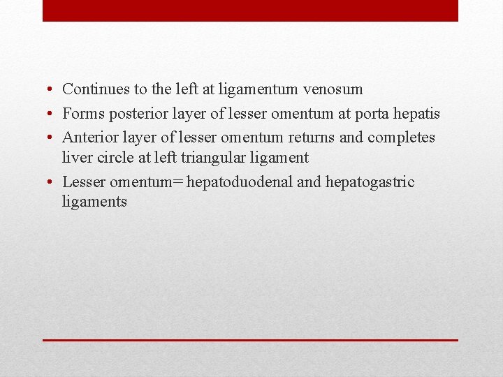  • Continues to the left at ligamentum venosum • Forms posterior layer of
