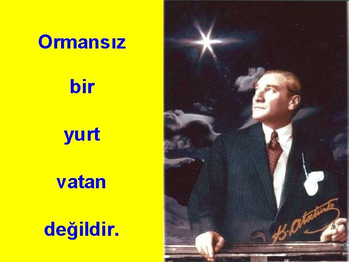 Ormansız bir yurt vatan değildir. 