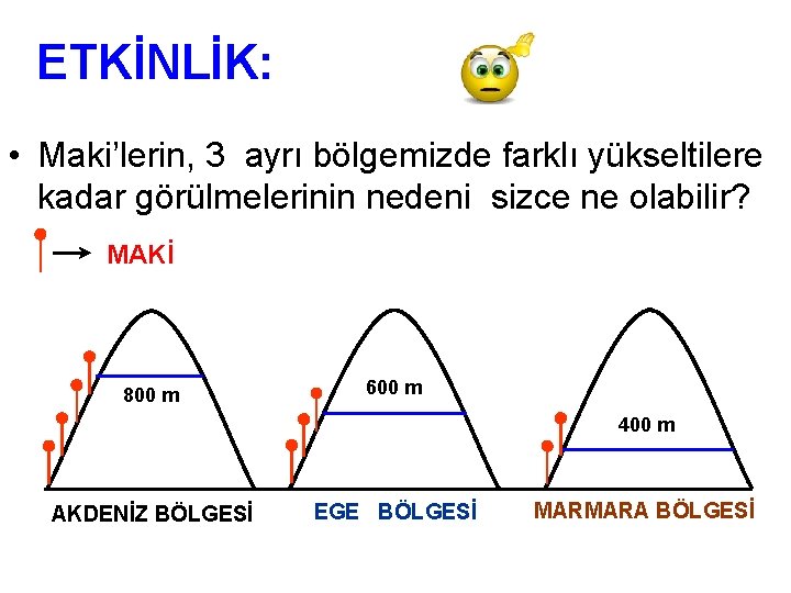 ETKİNLİK: • Maki’lerin, 3 ayrı bölgemizde farklı yükseltilere kadar görülmelerinin nedeni sizce ne olabilir?