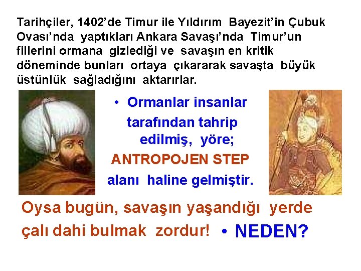 Tarihçiler, 1402’de Timur ile Yıldırım Bayezit’in Çubuk Ovası’nda yaptıkları Ankara Savaşı’nda Timur’un fillerini ormana