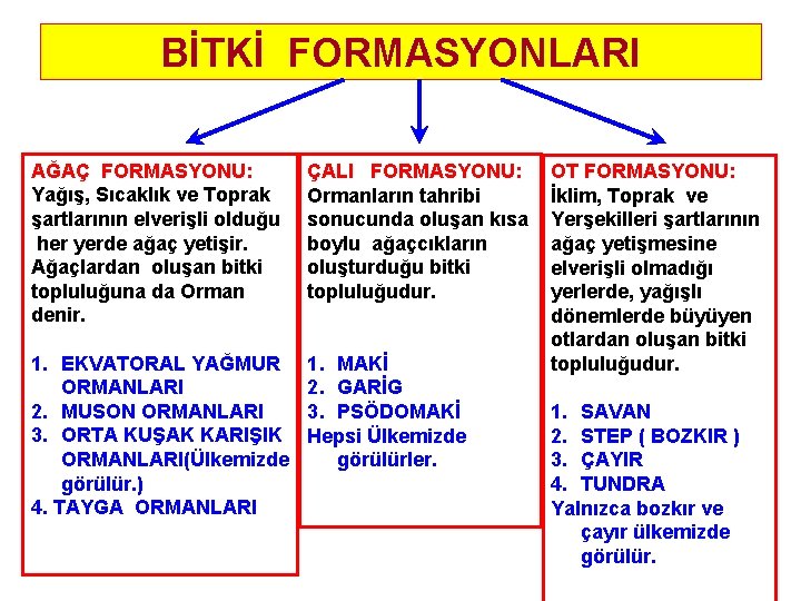 BİTKİ FORMASYONLARI AĞAÇ FORMASYONU: Yağış, Sıcaklık ve Toprak şartlarının elverişli olduğu her yerde ağaç