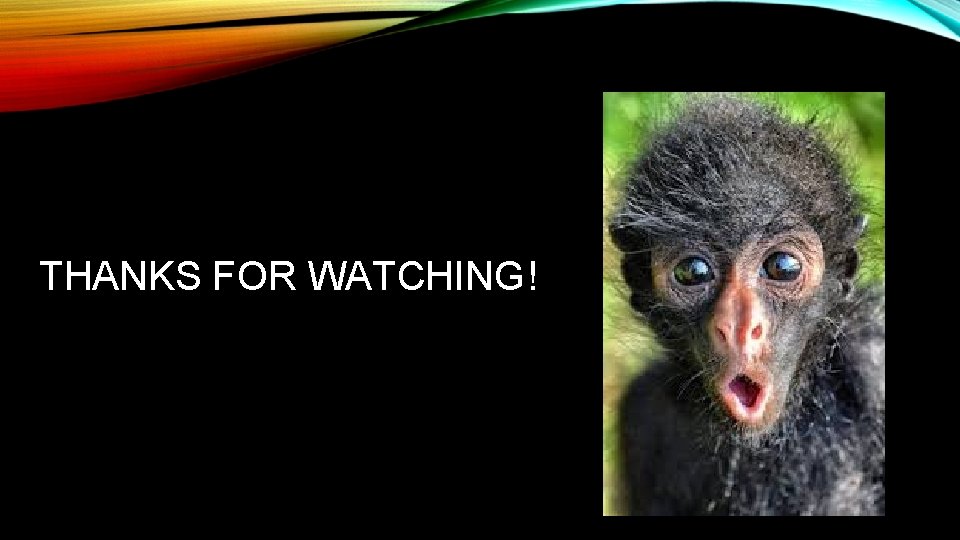 THANKS FOR WATCHING! 