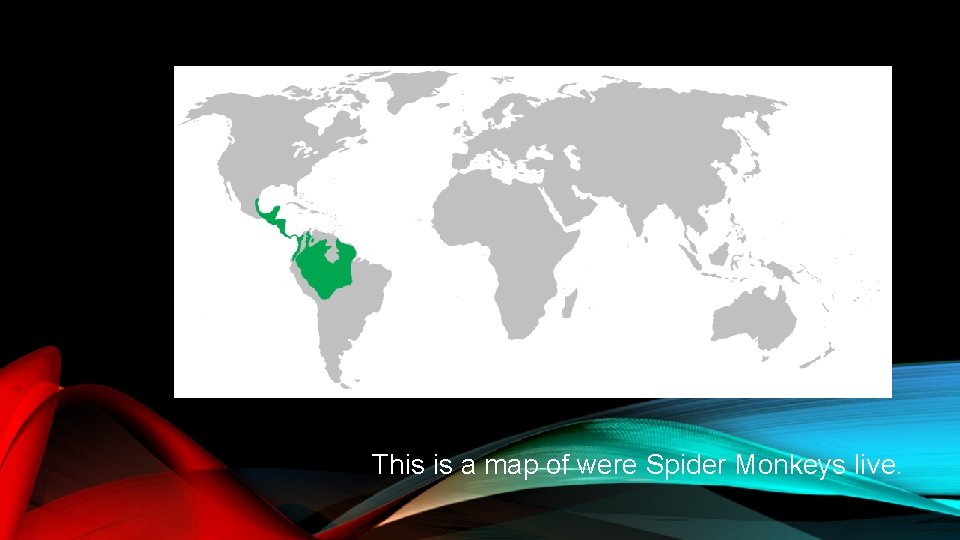 This is a map of were Spider Monkeys live. 