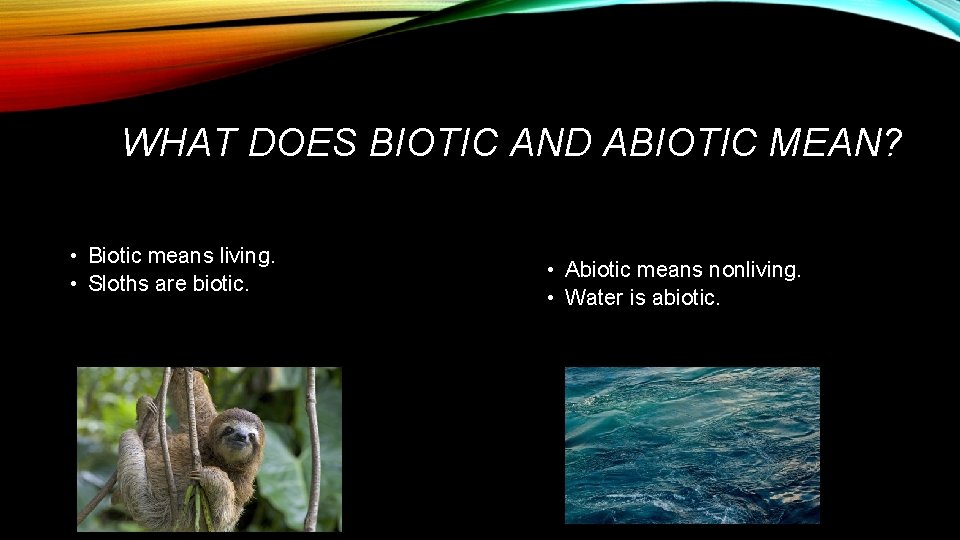 WHAT DOES BIOTIC AND ABIOTIC MEAN? • Biotic means living. • Sloths are biotic.