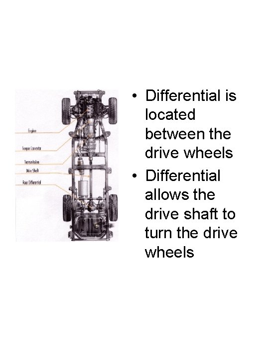  • Differential is located between the drive wheels • Differential allows the drive