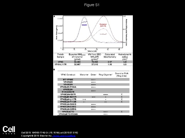 Figure S 1 Cell 2013 154763 -774 DOI: (10. 1016/j. cell. 2013. 07. 015)