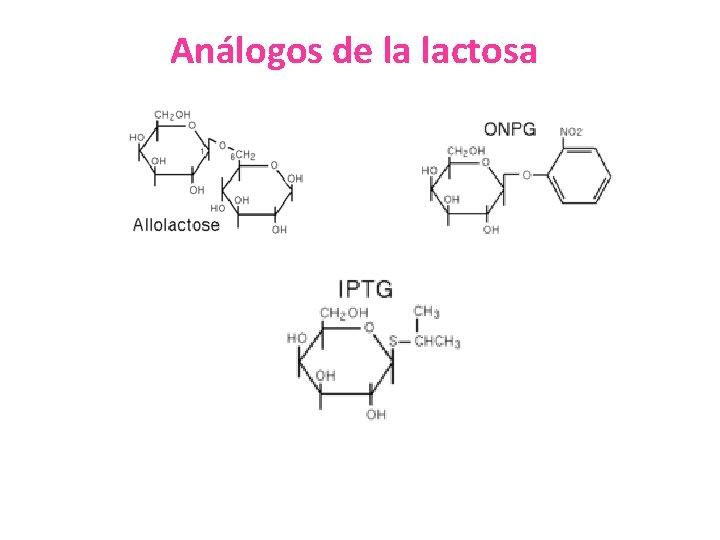 Análogos de la lactosa 