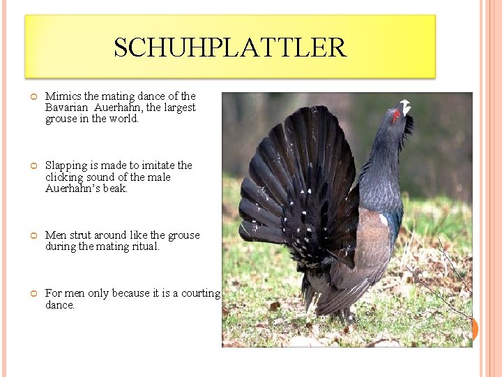 SCHUHPLATTLER Mimics the mating dance of the Bavarian Auerhahn, the largest grouse in the