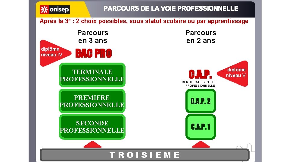 Après la 3 e : 2 choix possibles, sous statut scolaire ou par apprentissage