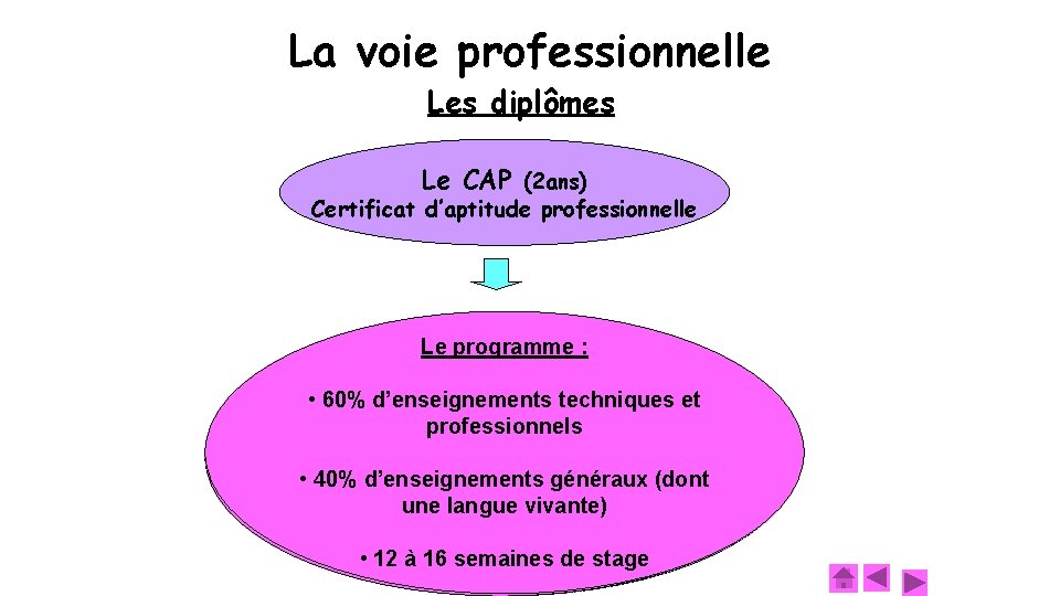 La voie professionnelle Les diplômes Le CAP (2 ans) Certificat d’aptitude professionnelle Le programme
