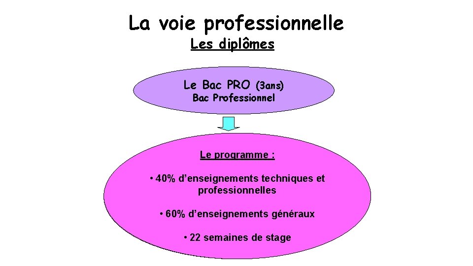 La voie professionnelle Les diplômes Le Bac PRO (3 ans) Bac Professionnel Le Et