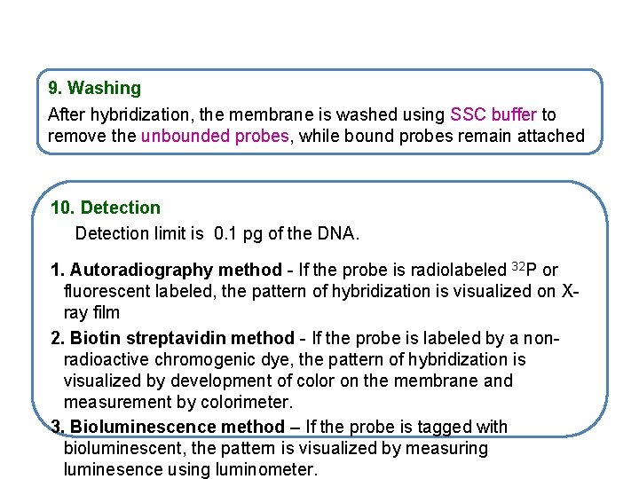 9. Washing After hybridization, the membrane is washed using SSC buffer to remove the