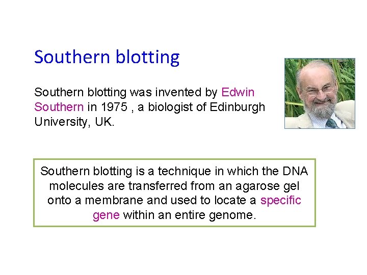 Southern blotting was invented by Edwin Southern in 1975 , a biologist of Edinburgh