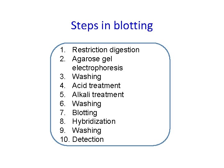 Steps in blotting 1. Restriction digestion 2. Agarose gel electrophoresis 3. Washing 4. Acid