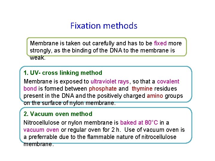 Fixation methods Membrane is taken out carefully and has to be fixed more strongly,