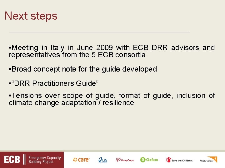 Next steps _________________________________ • Meeting in Italy in June 2009 with ECB DRR advisors