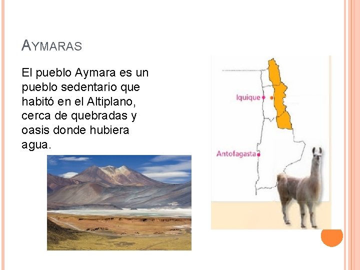 AYMARAS El pueblo Aymara es un pueblo sedentario que habitó en el Altiplano, cerca