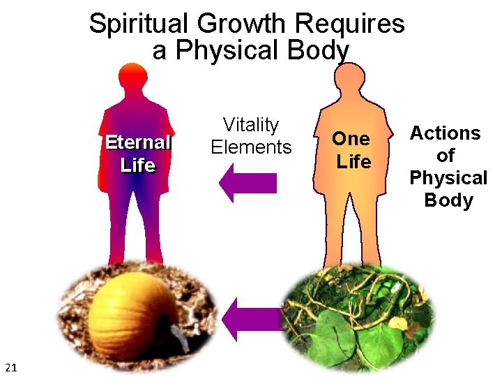 Spiritual Growth Requires a Physical Body Eternal Life 21 Vitality Elements One Life Actions