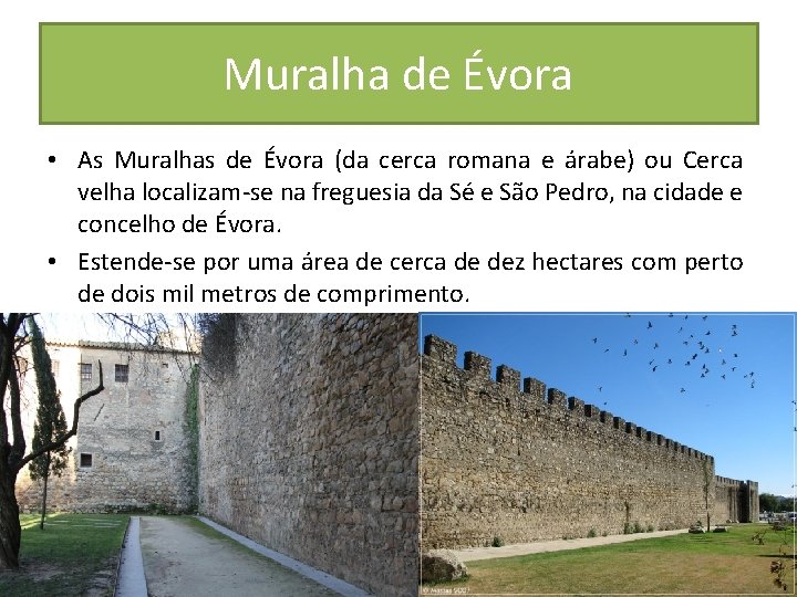 Muralha de Évora • As Muralhas de Évora (da cerca romana e árabe) ou