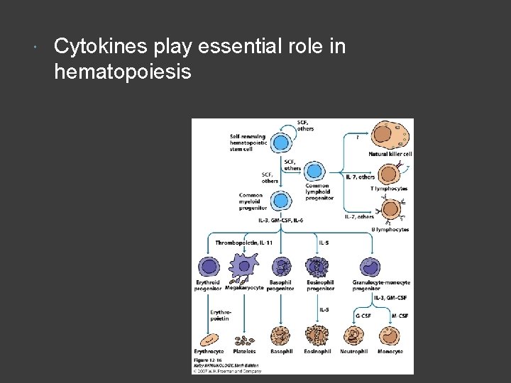  Cytokines play essential role in hematopoiesis 