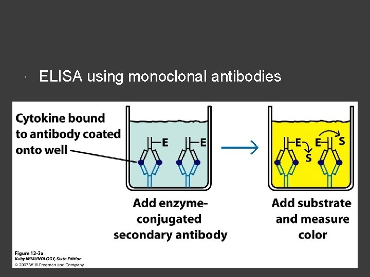  ELISA using monoclonal antibodies 
