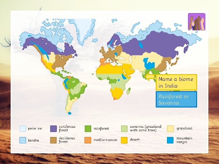 Name a biome in India Rainforest or Savanna 