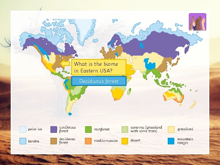 What is the biome in Eastern USA? Deciduous forest 