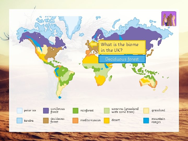 What is the biome in the UK? Deciduous forest 