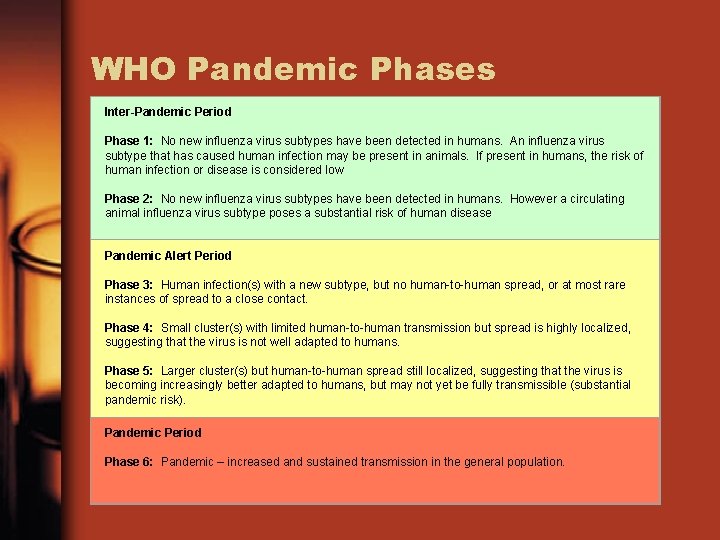 WHO Pandemic Phases Inter-Pandemic Period Phase 1: No new influenza virus subtypes have been