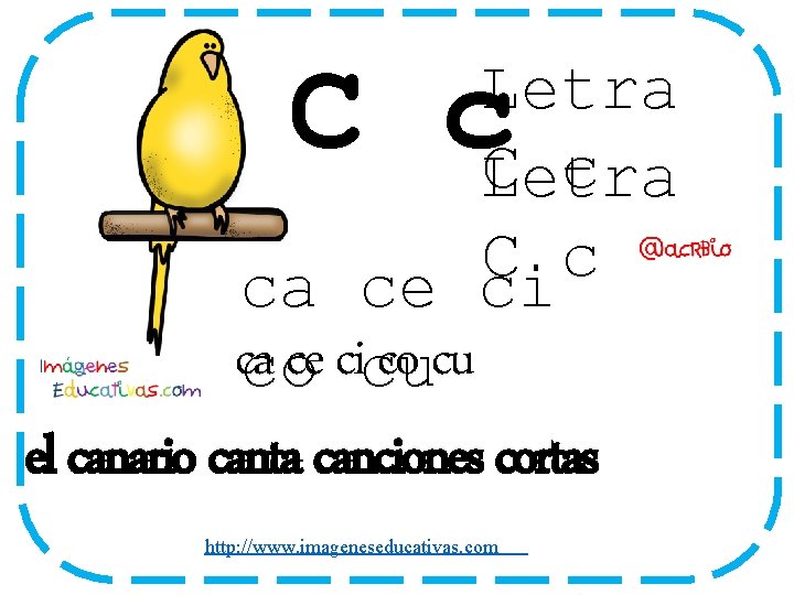 C c Letra C c ca ce ci cacoce cicu co cu el canario