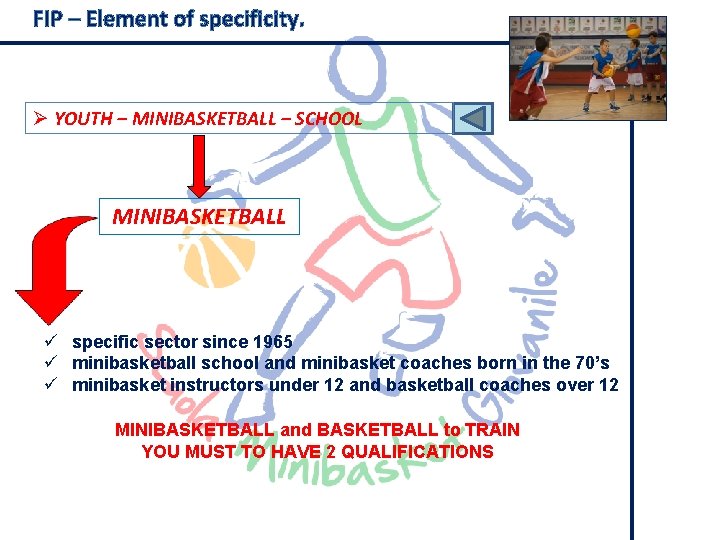 FIP – Element of specificity. Ø YOUTH – MINIBASKETBALL – SCHOOL MINIBASKETBALL ü specific