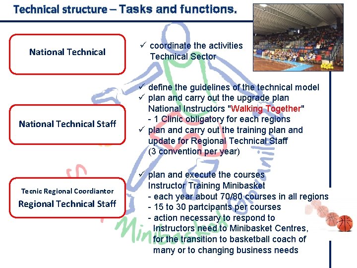Technical structure – Tasks and functions. National Technical Staff Tecnic Regional Coordiantor Regional Technical