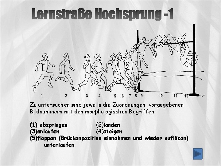 Zu untersuchen sind jeweils die Zuordnungen vorgegebenen Bildnummern mit den morphologischen Begriffen: (1) abspringen