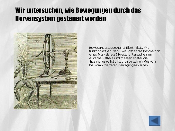 Wir untersuchen, wie Bewegungen durch das Nervensystem gesteuert werden Bewegungssteuerung ist Elektrizität. Wie funktioniert