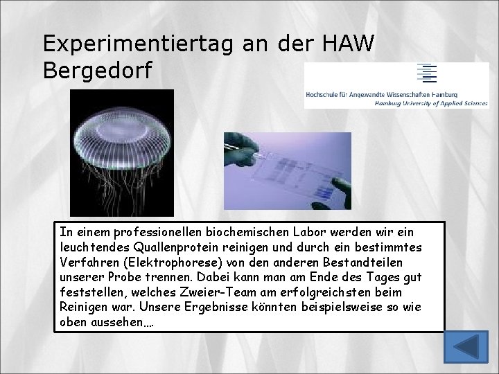 Experimentiertag an der HAW Bergedorf In einem professionellen biochemischen Labor werden wir ein leuchtendes