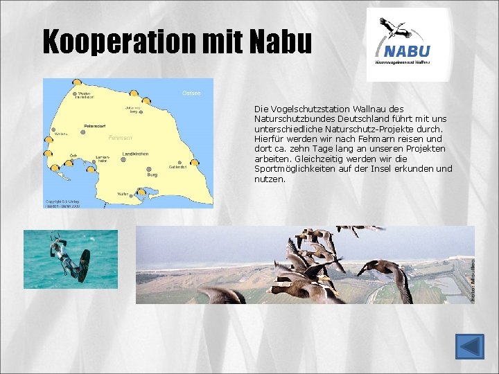 Kooperation mit Nabu Die Vogelschutzstation Wallnau des Naturschutzbundes Deutschland führt mit uns unterschiedliche Naturschutz-Projekte