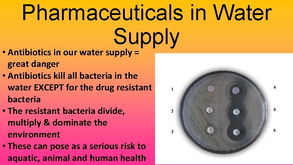 Pharmaceuticals in Water Supply • Antibiotics in our water supply = great danger •