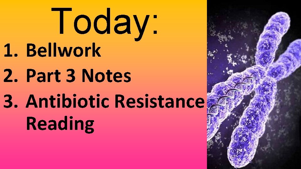 Today: 1. Bellwork 2. Part 3 Notes 3. Antibiotic Resistance Reading 