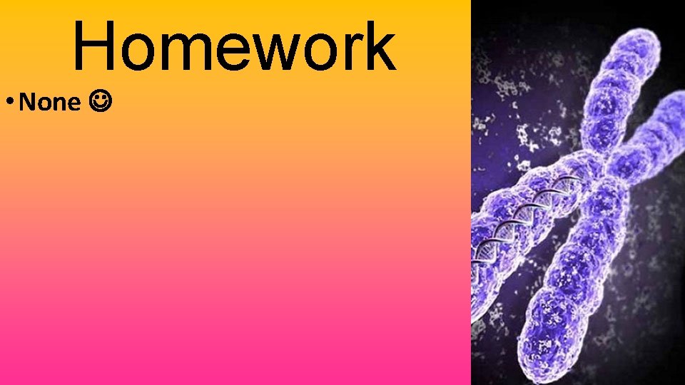 Homework • None 