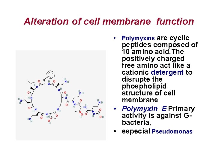 Alteration of cell membrane function • Polymyxins are cyclic peptides composed of 10 amino