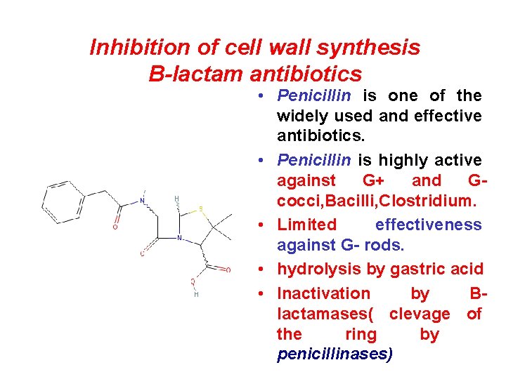 Inhibition of cell wall synthesis B-lactam antibiotics • Penicillin is one of the widely