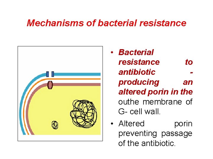 Mechanisms of bacterial resistance • Bacterial resistance to antibiotic producing an altered porin in