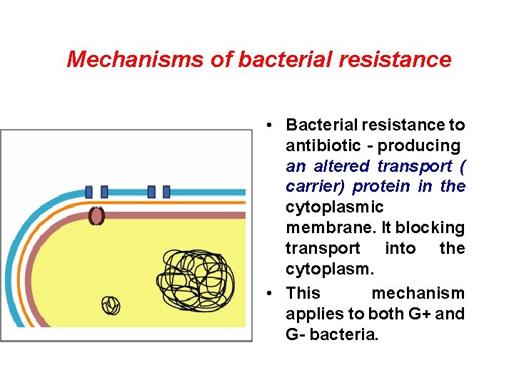 Mechanisms of bacterial resistance • Bacterial resistance to antibiotic - producing an altered transport