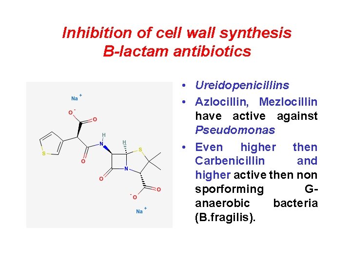 Inhibition of cell wall synthesis B-lactam antibiotics • Ureidopenicillins • Azlocillin, Mezlocillin have active