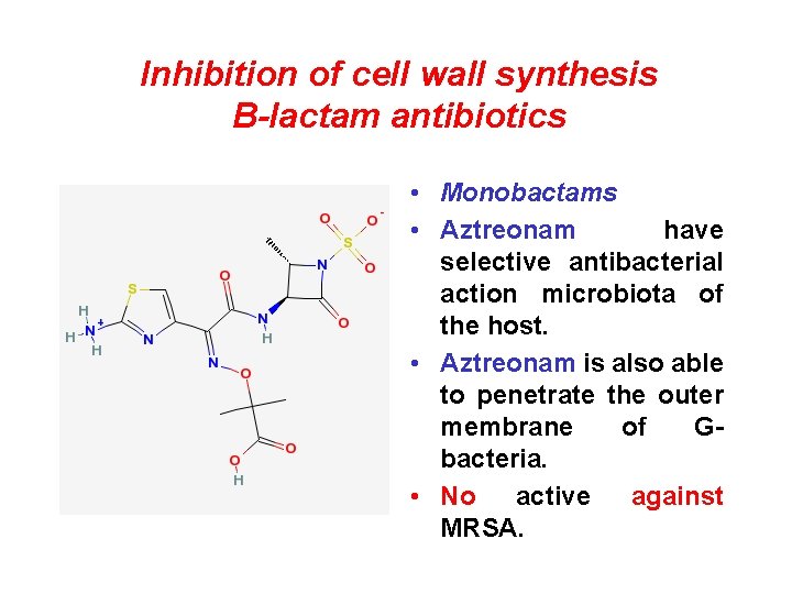 Inhibition of cell wall synthesis B-lactam antibiotics • Monobactams • Aztreonam have selective antibacterial