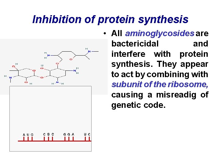 Inhibition of protein synthesis • All aminoglycosides are bactericidal and interfere with protein synthesis.