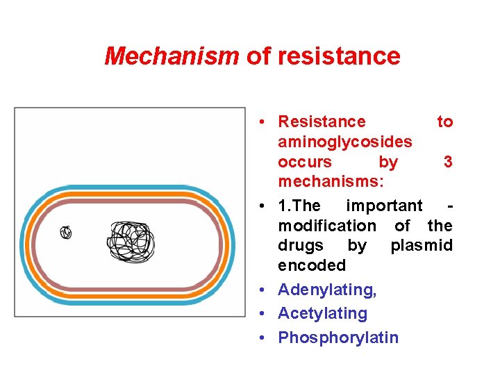 Mechanism of resistance • Resistance to aminoglycosides occurs by 3 mechanisms: • 1. The